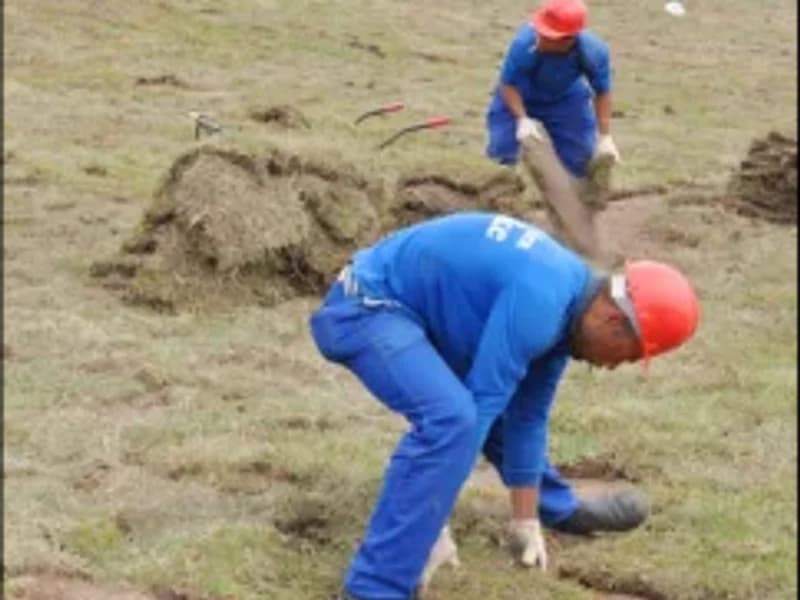 Grama em placa assentada sobre terreno preparado